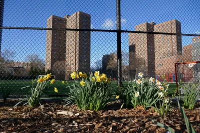 How community activists, police and residents drove down shootings in East Harlem