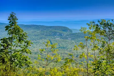 Extra Extra: What could go wrong if you take mushrooms before a hike?