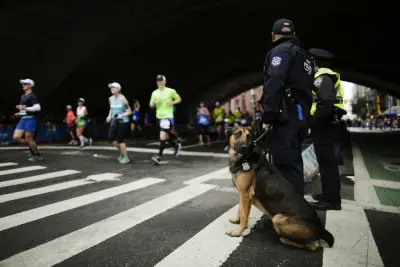 Nearly half of NYPD’s bomb squad – and their dogs – could retire this year, union says