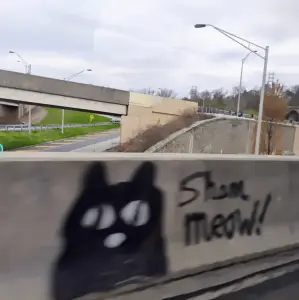 Student homelessness; Local businesses at PGA; Weekly gun violence brief | Morning roundup