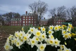McCaughey: Time for Ivy League to pay for bias