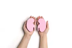 Levitt & Rorty: America needs more living kidney donors